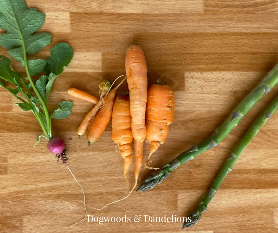 radish, carrots, and asparagus on a wooden background