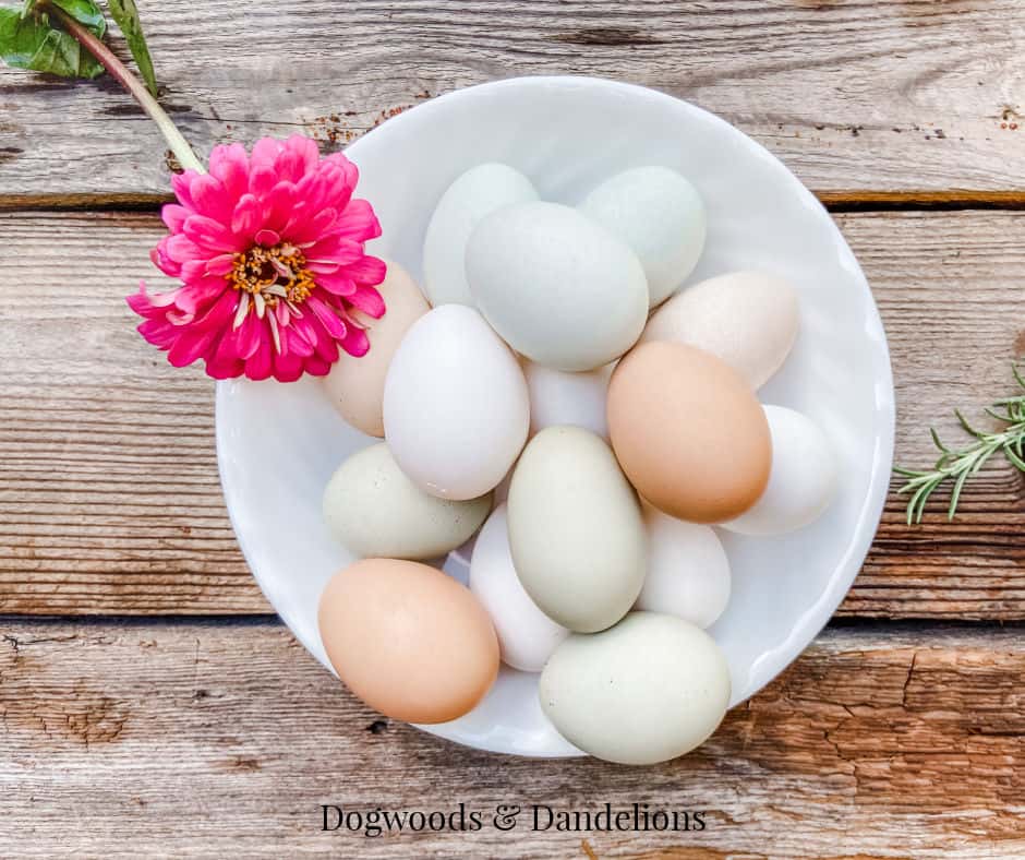a bowl of farm fresh eggs