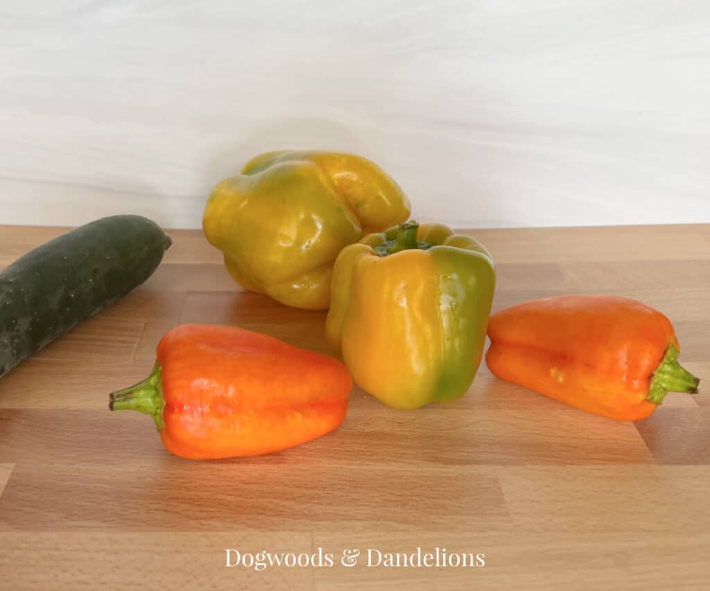 bell peppers and a cucumber