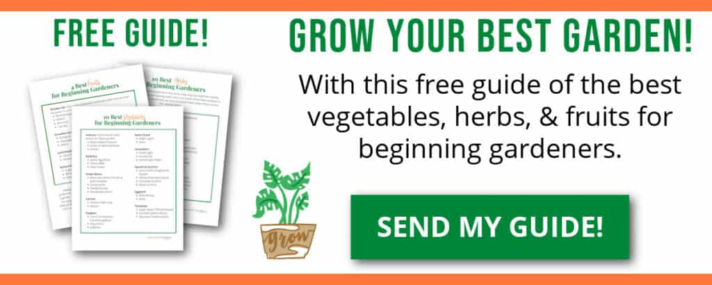 opt in box for best vegetables for beginners