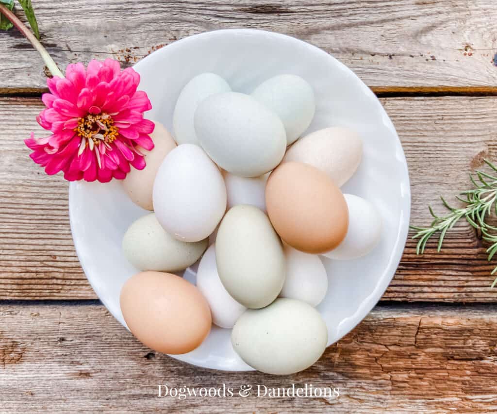 a bowl of eggs of various colors with a flower