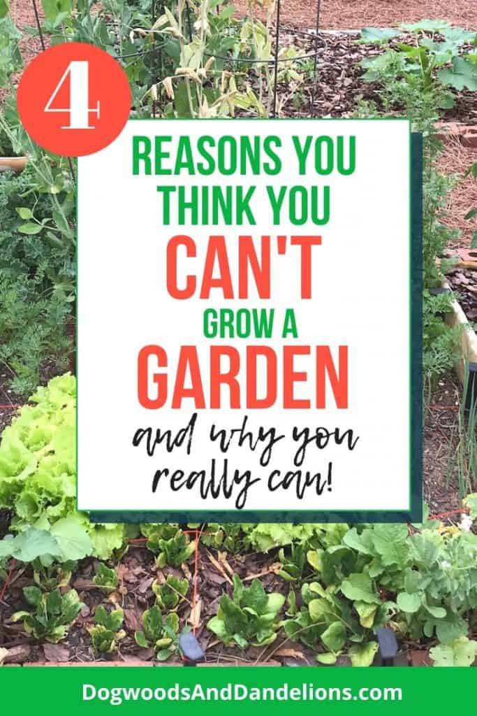 Think you can't grow a garden-Yes you can!