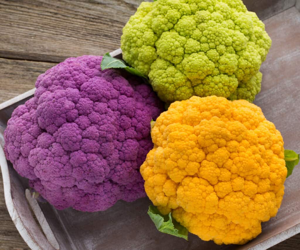 a head of purple, yellow, and green cauliflower on a tray
