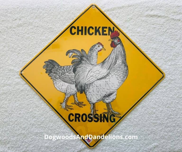 Gifts for the Chicken Lover
