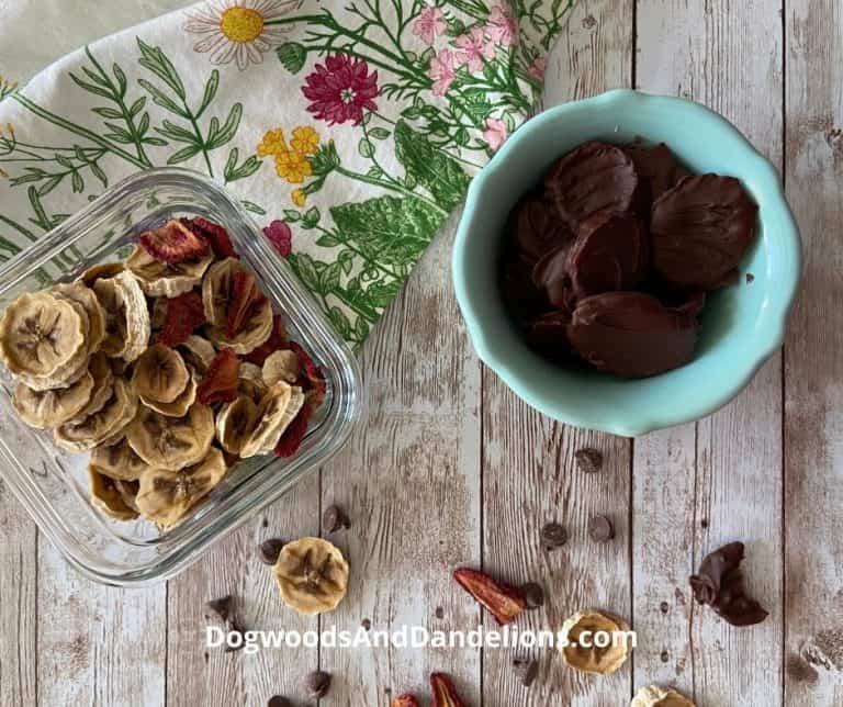 Chocolate Covered Dehydrated Fruit