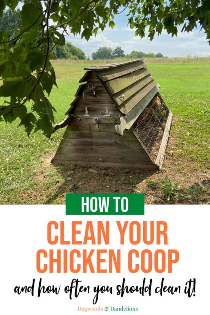 a chicken coop before being cleaned