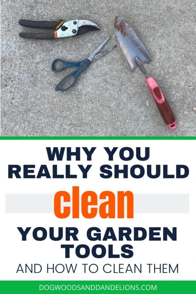 How to clean and maintain your garden tools