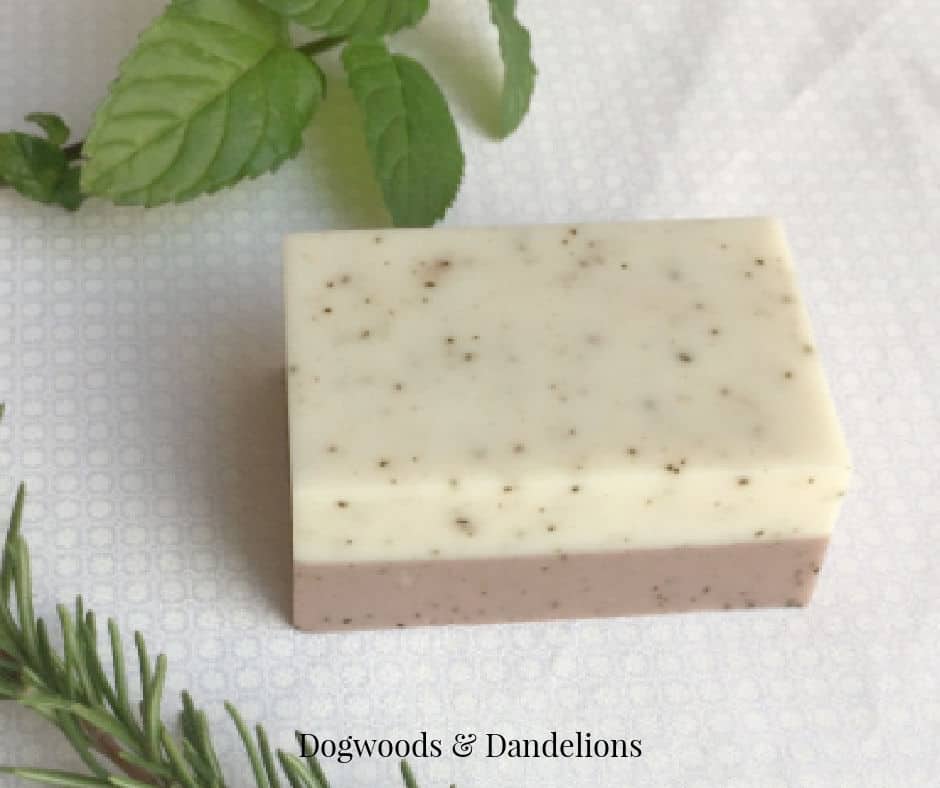 a 2 layer coffee soap surrounded by basil and rosemary