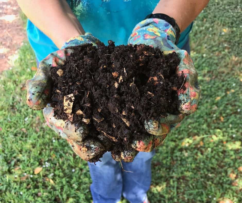 compost in the backyard garden