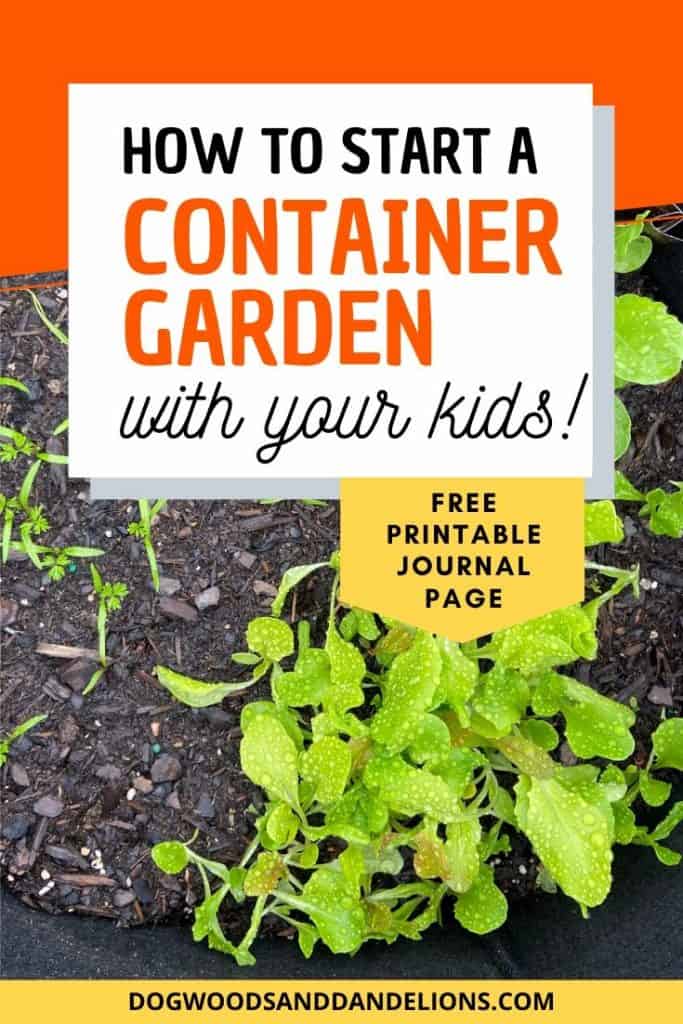 start a container garden with your kids