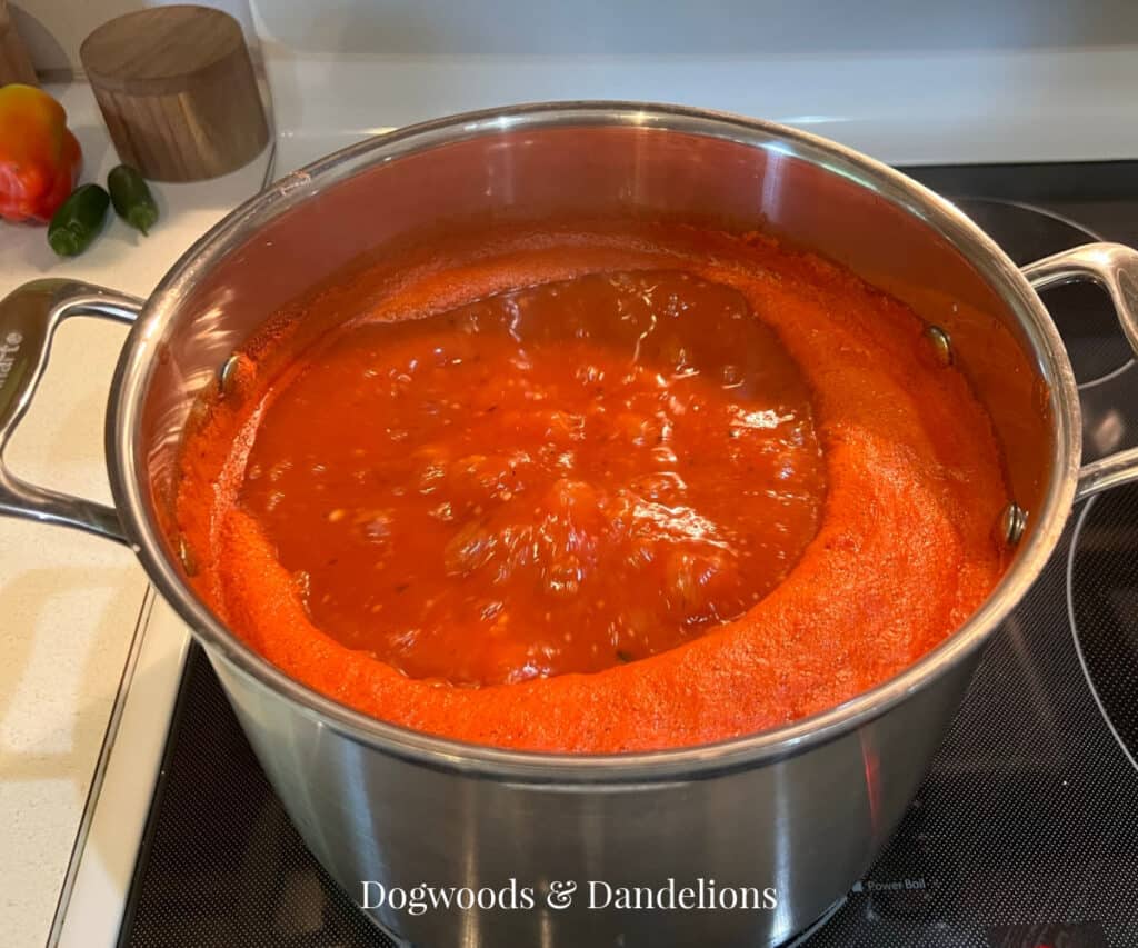 a pot of fresh tomato sauce on the stove
