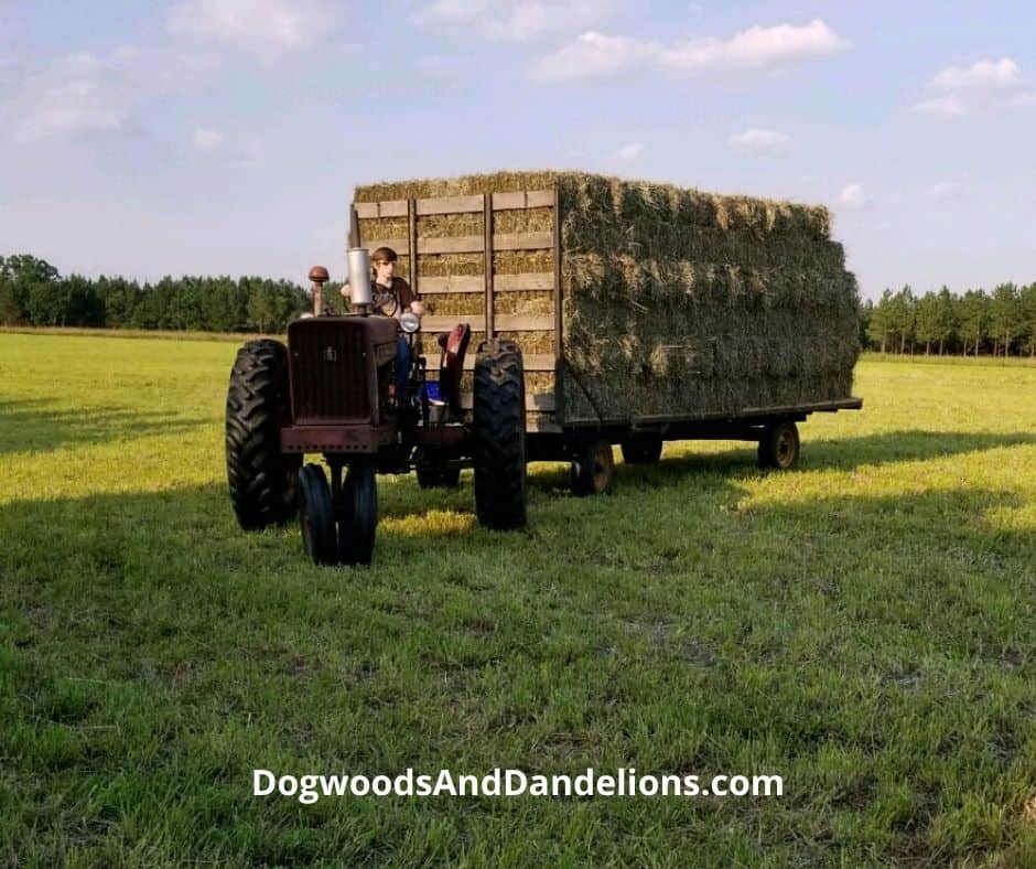 A wagon full of hay.