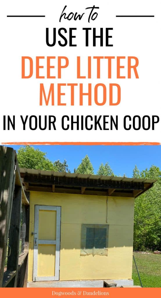 a chicken coop in the spring that uses the deep litter method