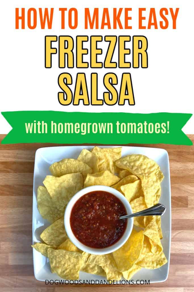 easy freezer salsa and chips