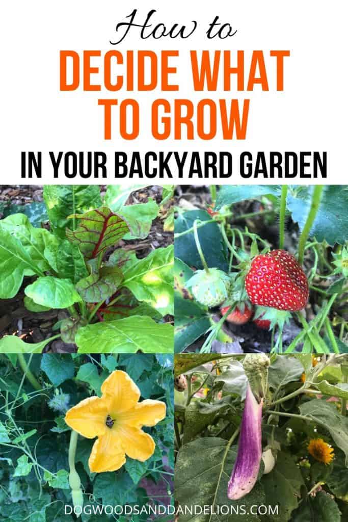 Easy vegetables to grow