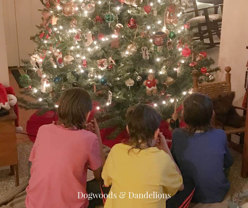 3 boys sitting around a Christmas tree