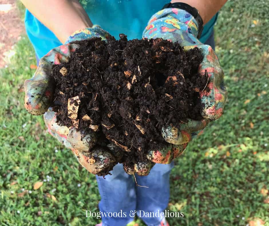 a double handful of compost with pieces of eggshells visible