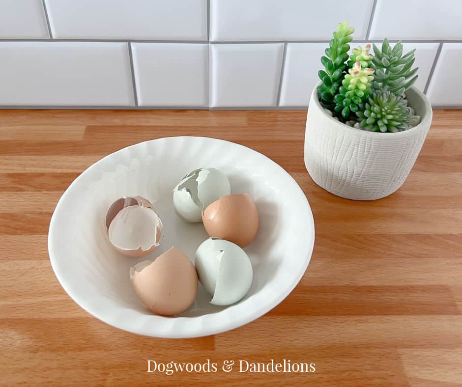 a bowl of eggshells on a wooden board with a succulent