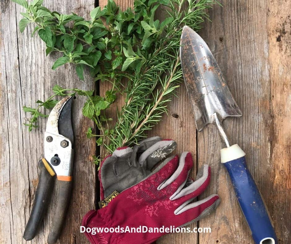 pruners, gloves, and trowel