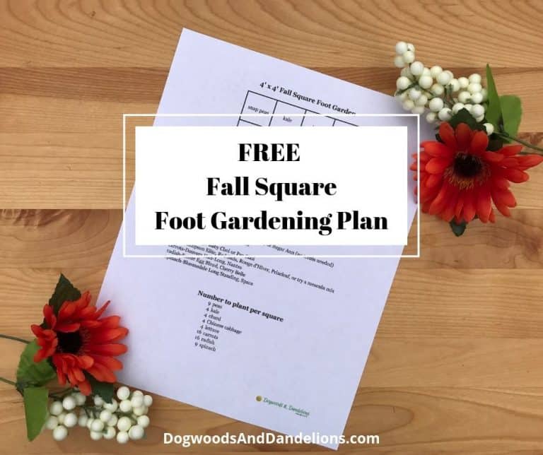 Fall Square Foot Garden Plan