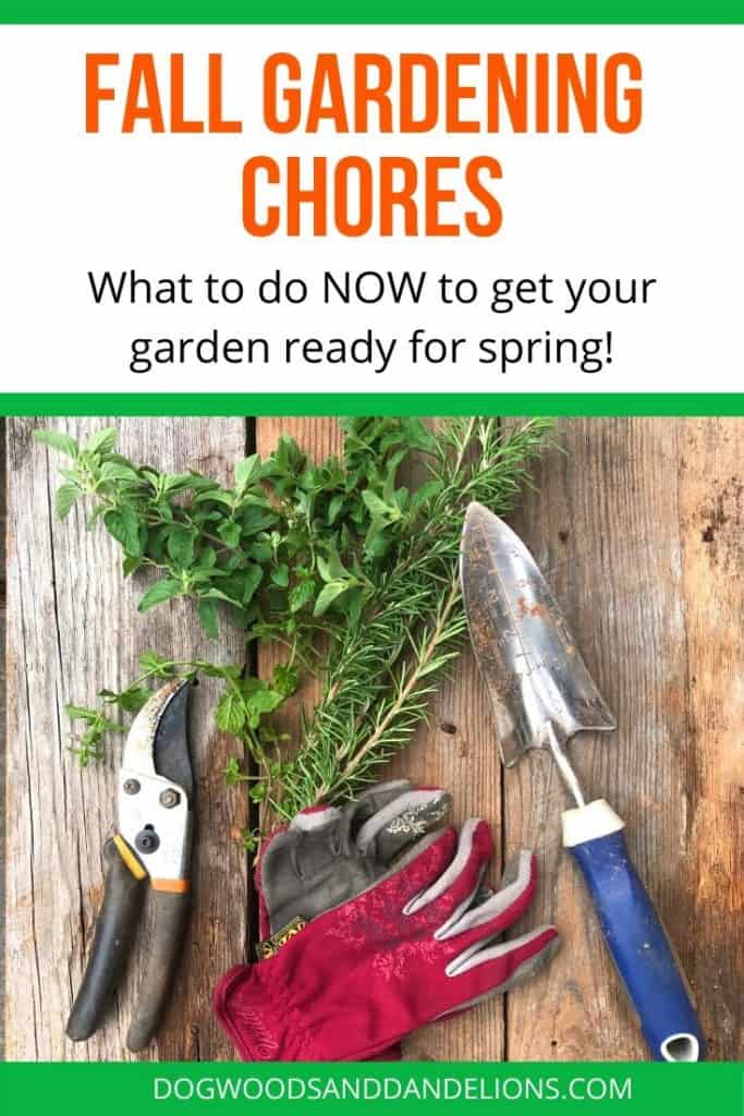 fall gardening chores include cleaning tools