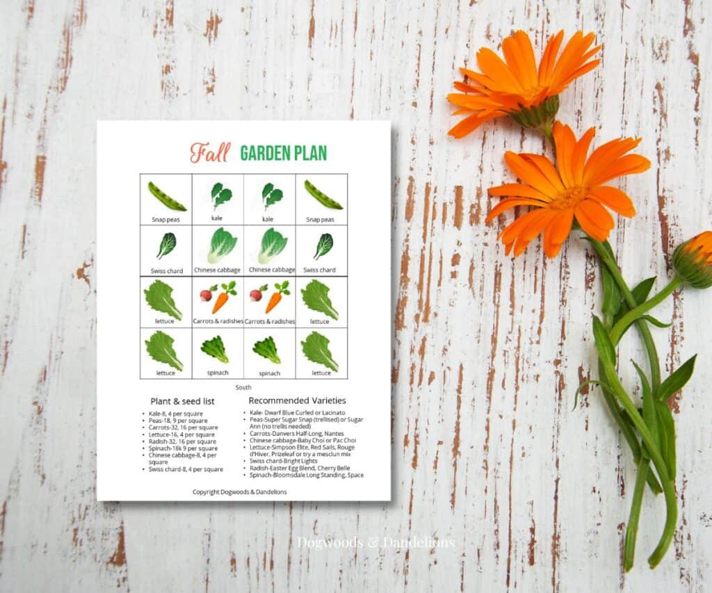 a fall square foot gardening plan on a wooden background with orange flowers