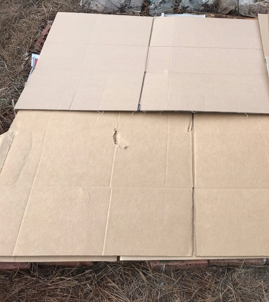 the first two layers of newspaper and cardboard