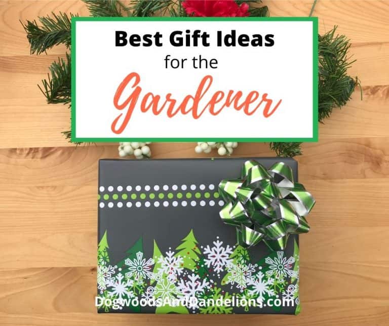 Best Gifts for the Gardener