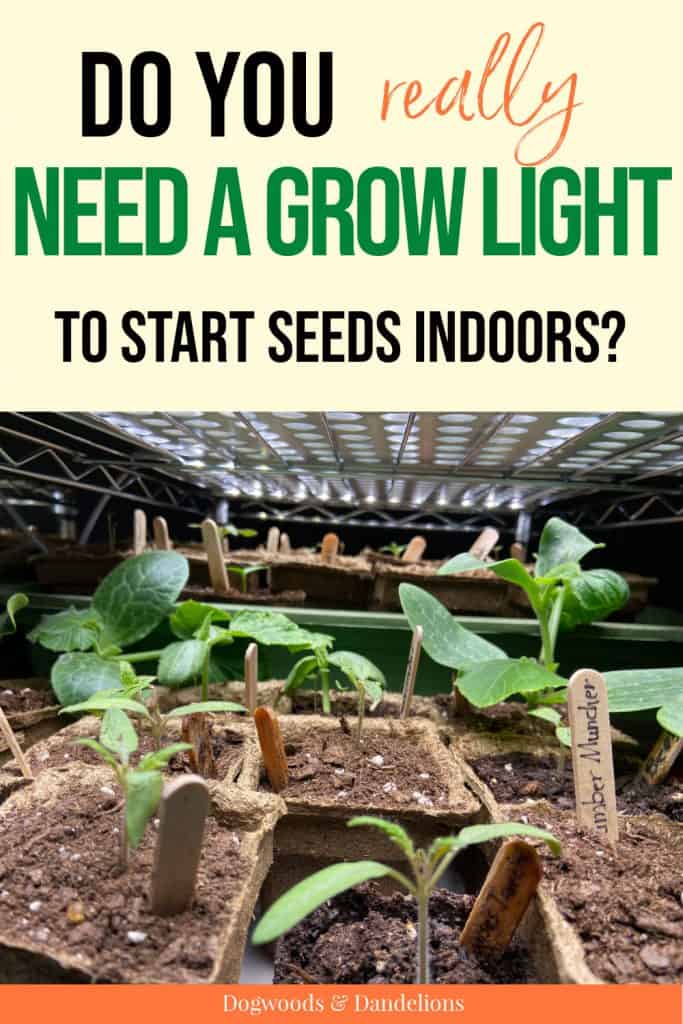 grow lights to start seeds indoors