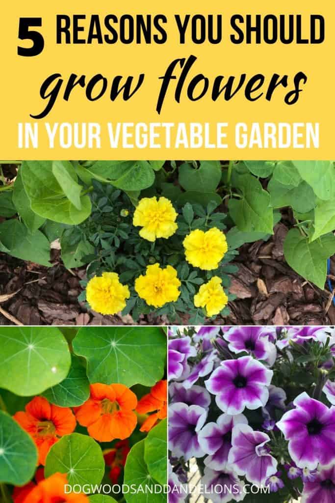 growing flowers in the vegetable garden