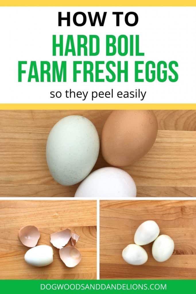 hard boil farm fresh eggs