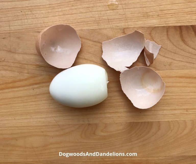 How to Hard Boil Fresh Eggs