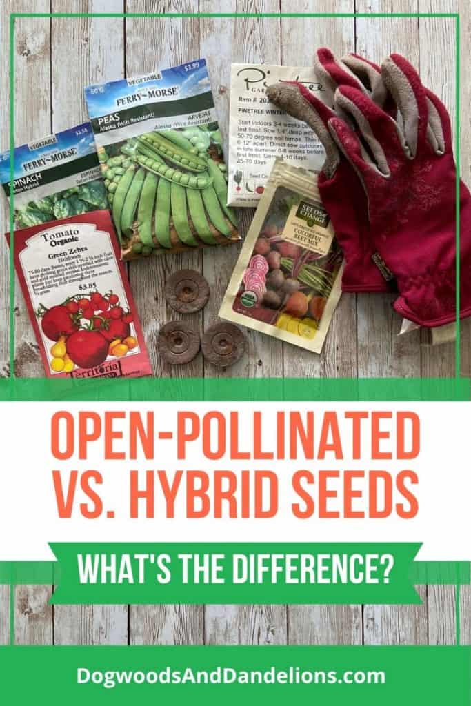 Seed packets of both open-pollinated and hybrid seeds.