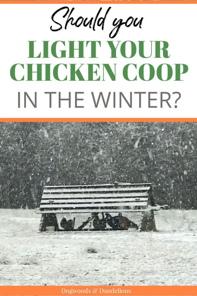 a moveable chicken coop in the snow