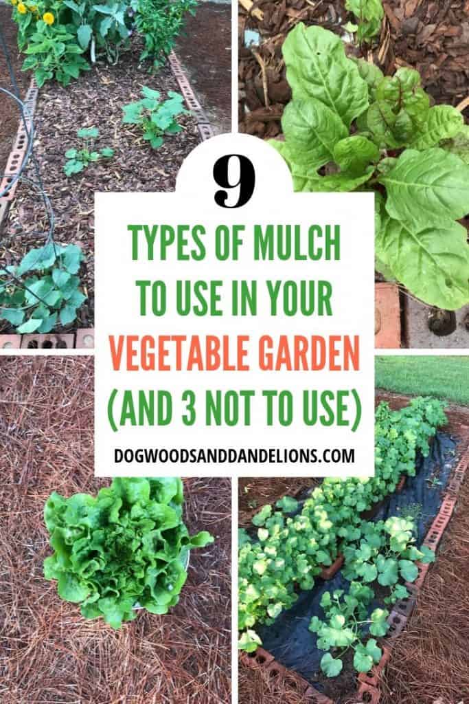 different types of mulch in a vegetable garden