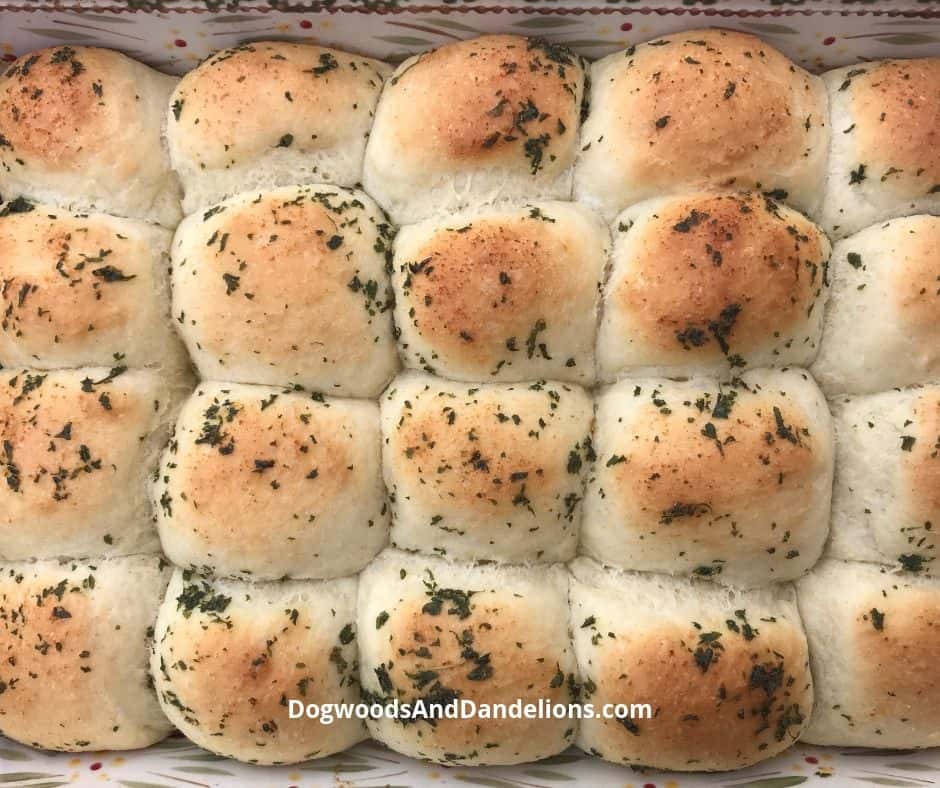 a pan of one hour yeast rolls