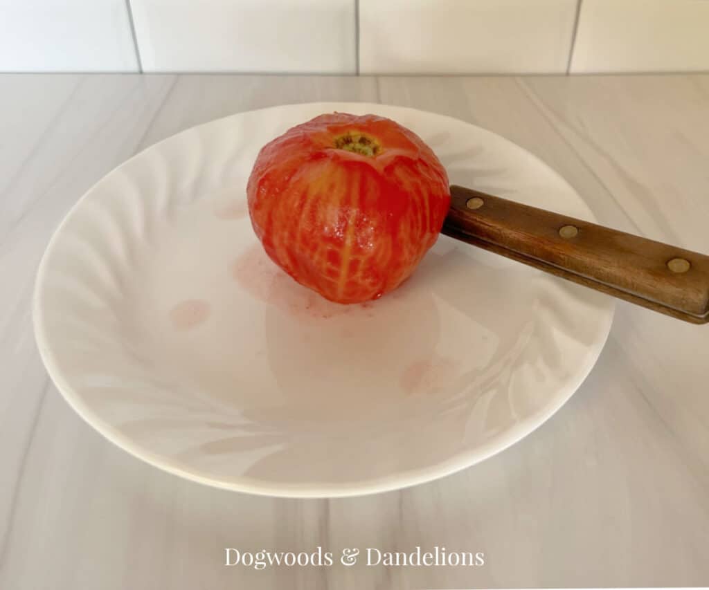 a peeled tomato and a paring knive