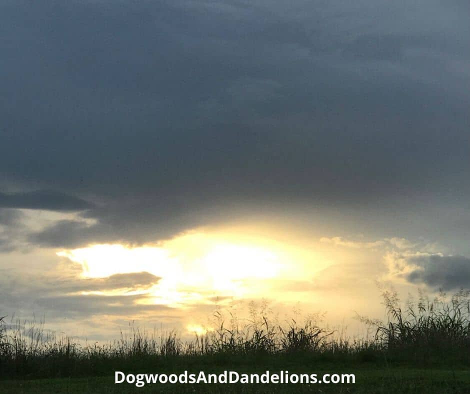a storm rolling in on the farm