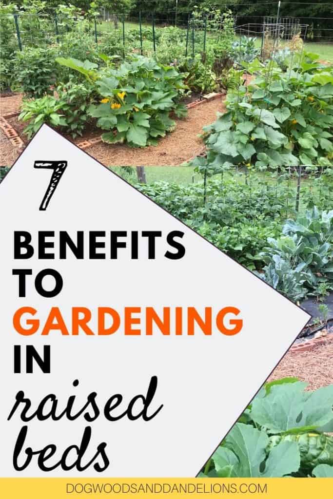 benefits to gardening