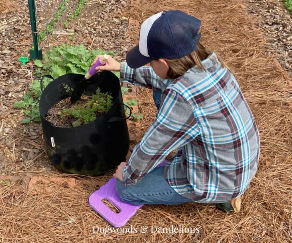 a boy planting in a grow bag