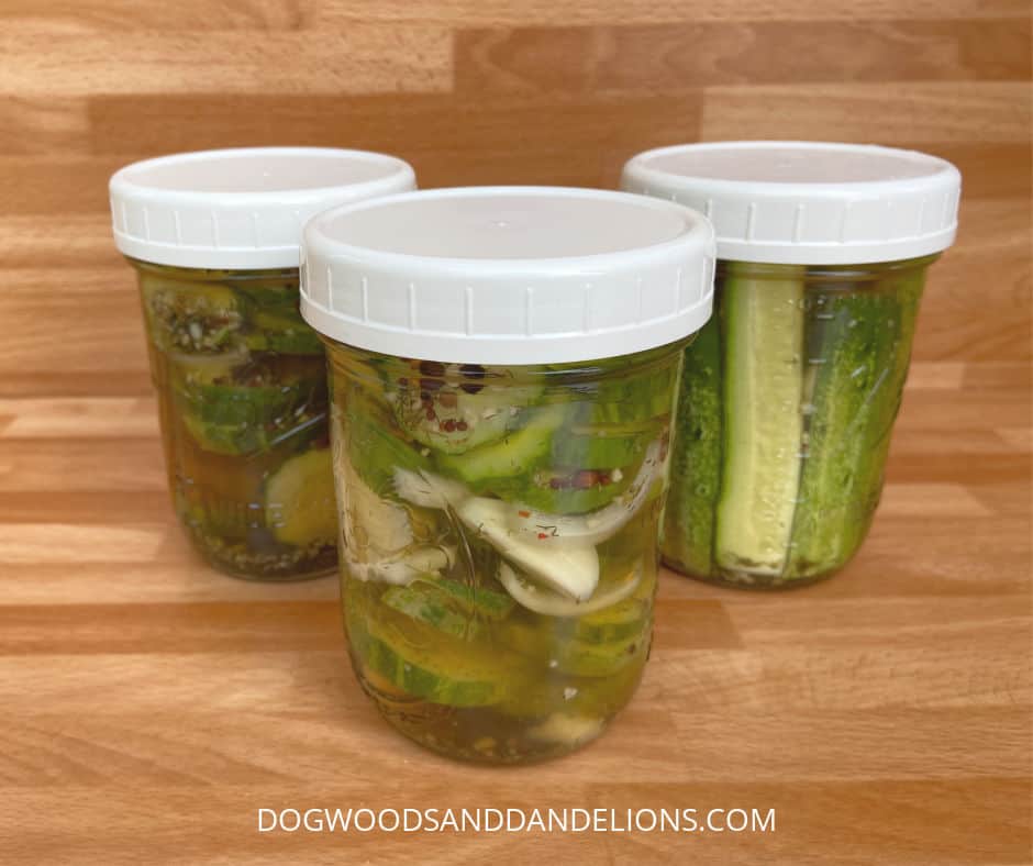 3 jars of refrigerator dill pickles
