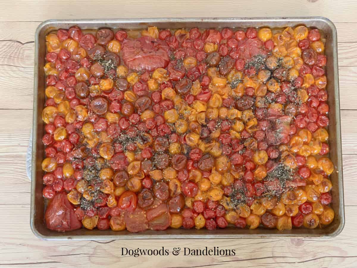 Roasted Cherry Tomato Sauce – Dogwoods & Dandelions