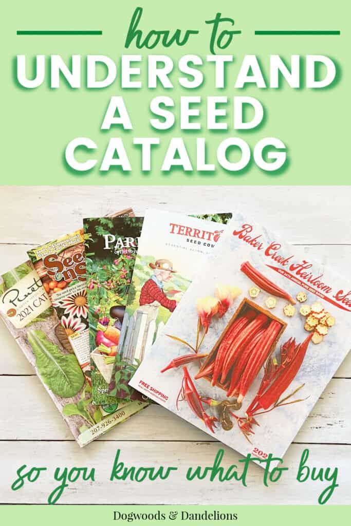 5 seed catalogs fanned out on a wooden background with text "how to understand a seed catalog so you know what to buy".