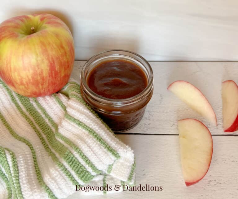 apple butter in a jar, a towel, a whole apple, and apple slices