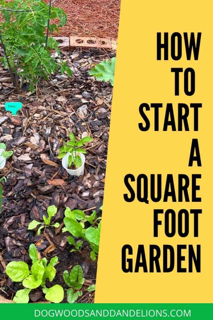 start a square foot garden