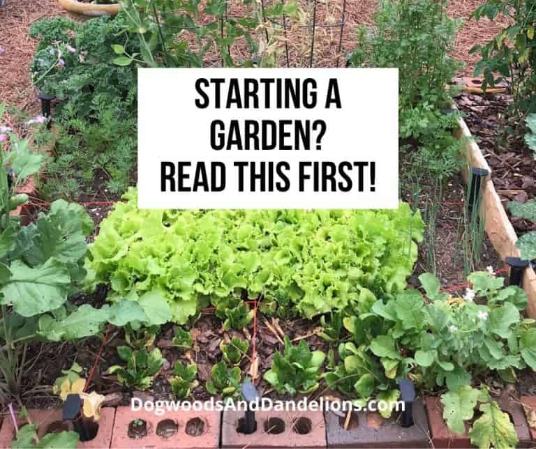 Starting A Garden-Expert Advice from Experienced Gardeners