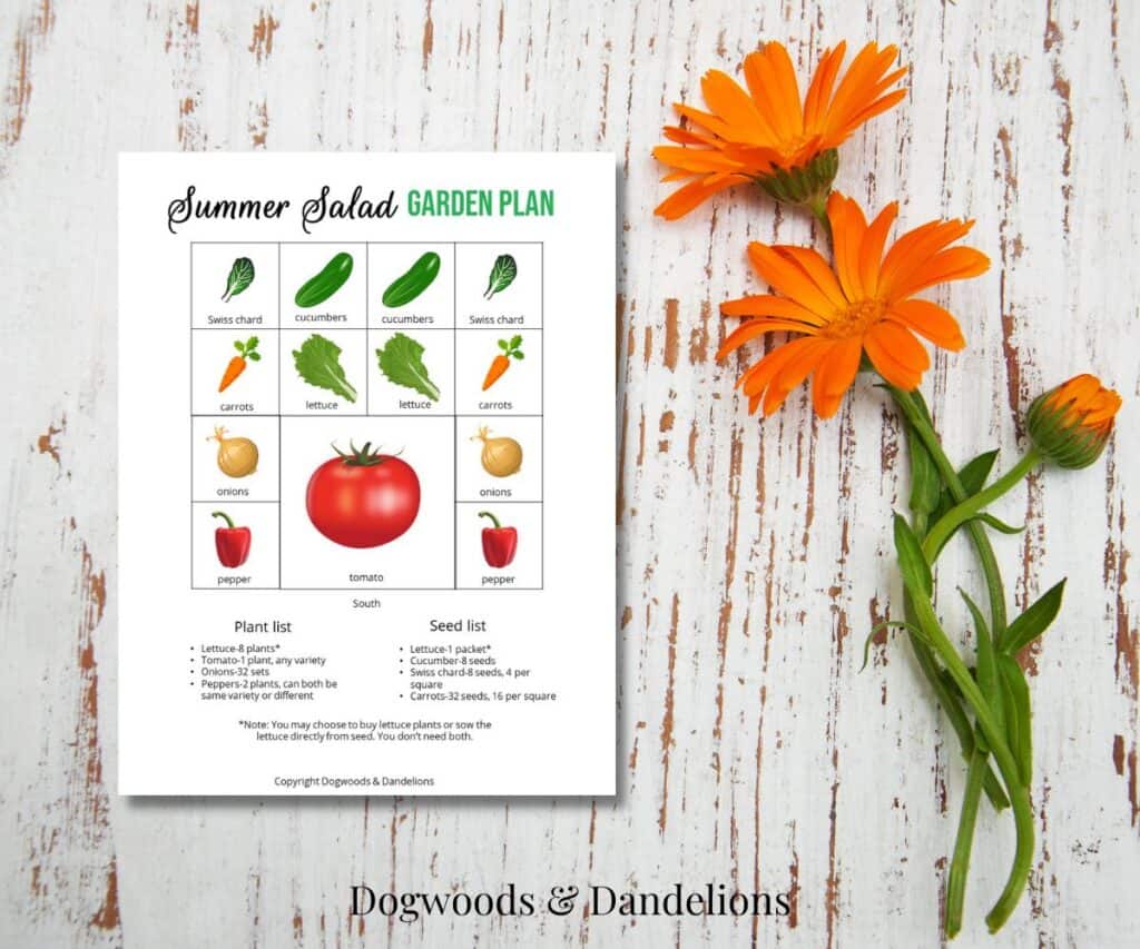 a summer salad square foot garden plan beside orange flowers