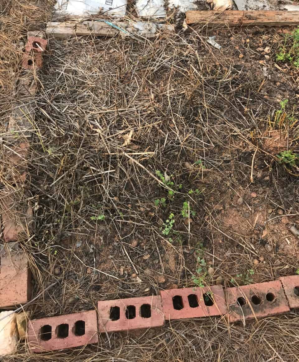 making a new garden bed