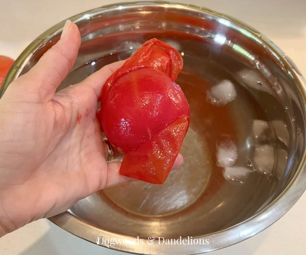 a tomato with the skin coming off over a bowl of ice water