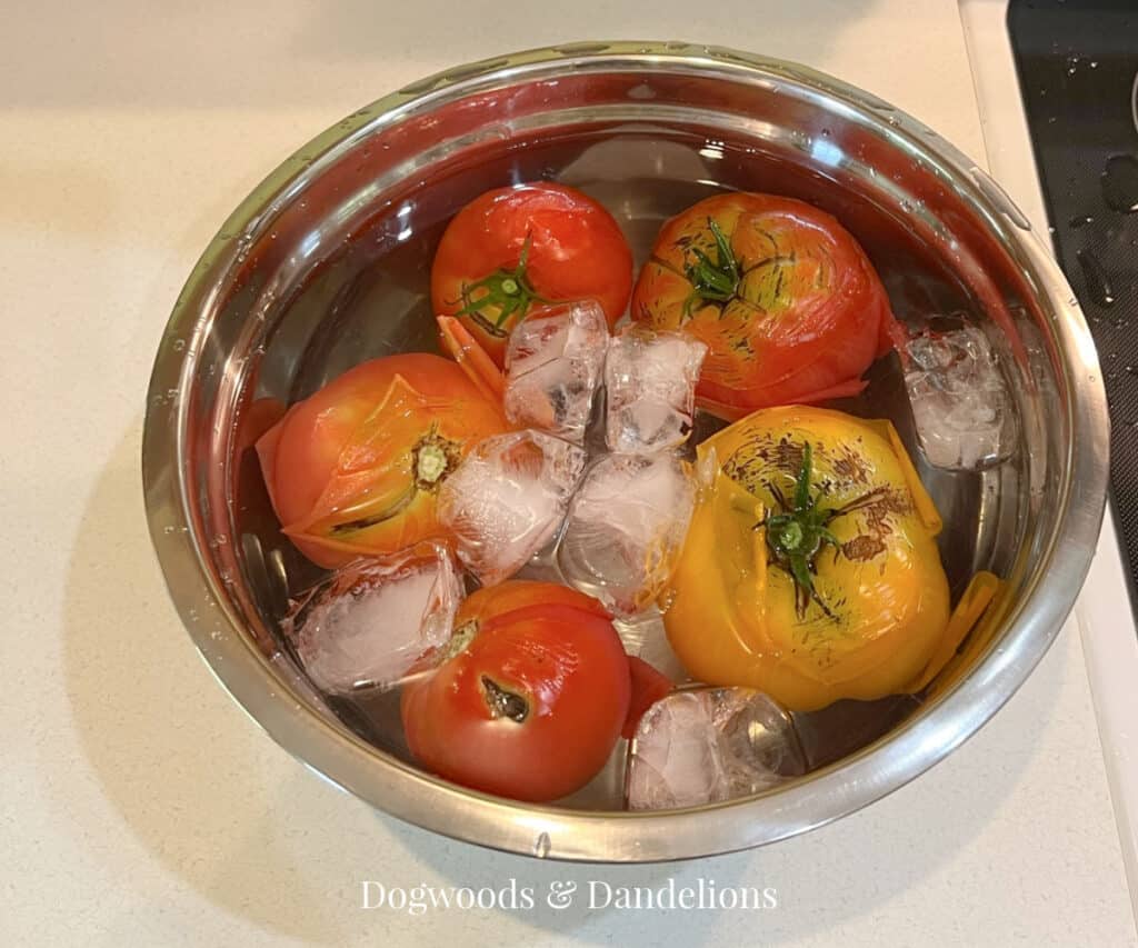 tomatoes cooling in an ice bath